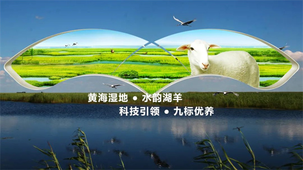 江蘇乾寶牧業(yè)有限公司 江蘇乾寶牧業(yè)有限公司