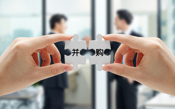 戰(zhàn)略投資與并購(gòu)：拓展企業(yè)規(guī)模，增強(qiáng)市場(chǎng)競(jìng)爭(zhēng)力