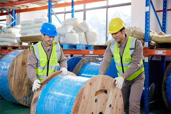 協(xié)同供應(yīng)鏈：強(qiáng)化合作伙伴關(guān)系，提升整體競(jìng)爭(zhēng)力