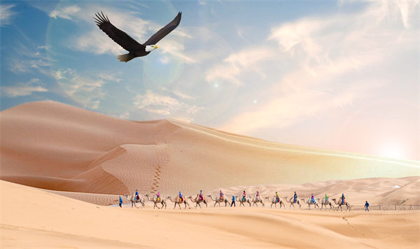 集團管控升級迭代，激發(fā)企業(yè)活力，實現(xiàn)持續(xù)領(lǐng)先