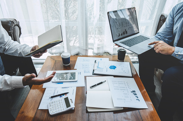 立足戰(zhàn)略大局，提供專業(yè)咨詢，助力企業(yè)騰飛