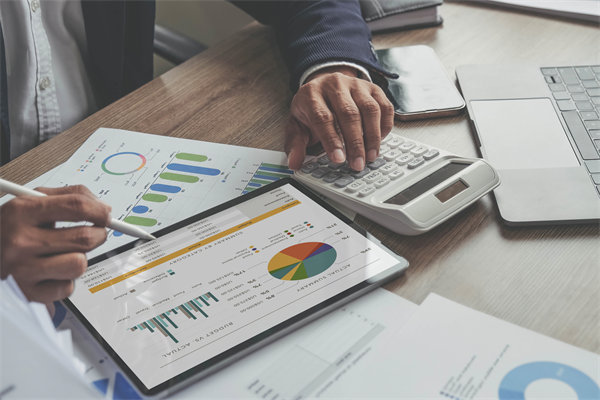 預(yù)算調(diào)整流程中的靈活性與審批標(biāo)準(zhǔn)如何把握？