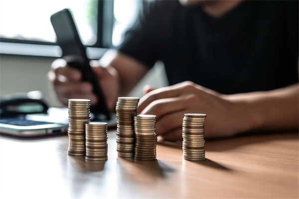 環(huán)境快速變化，如何確保預(yù)算執(zhí)行的靈活性和適應(yīng)性？