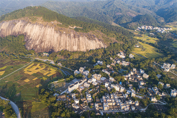 肇慶管理咨詢公司如何助力企業(yè)實現(xiàn)數(shù)字化轉型？