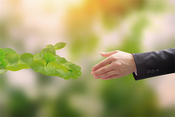 可持續(xù)發(fā)展成為趨勢(shì)，企業(yè)如何融入綠色戰(zhàn)略以促增長(zhǎng)？