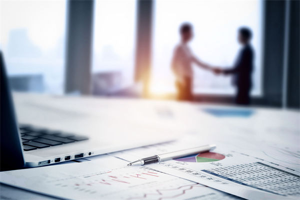 在預(yù)算執(zhí)行中，如何確保監(jiān)控與調(diào)整機(jī)制的有效性？