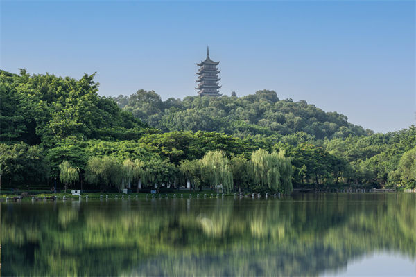 如何評估佛山集團(tuán)管控咨詢公司的服務(wù)質(zhì)量和效果？