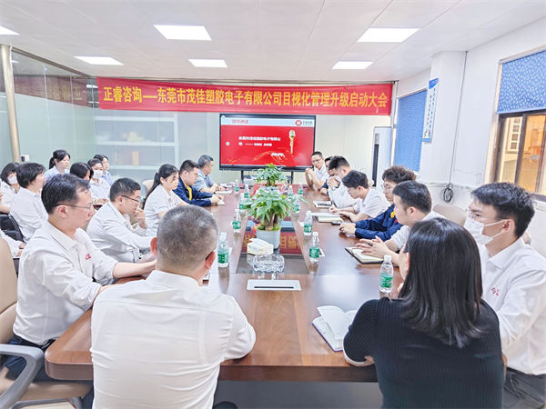 東莞市茂佳塑膠電子有限公司目視化管理升級啟動大會 東莞市茂佳塑膠電子有限公司目視化管理升級啟動大會