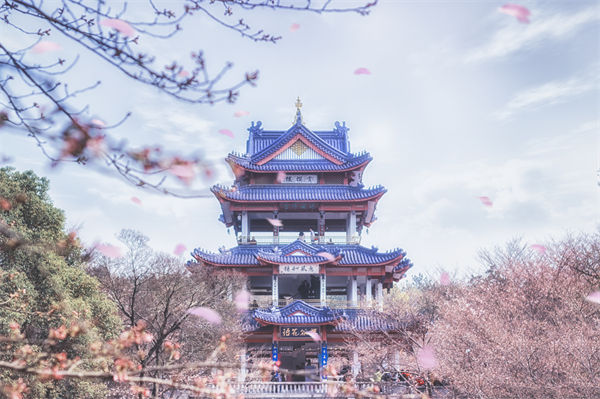 供應鏈成本居高不下，無錫供應鏈咨詢公司如何精準砍出利潤空間？