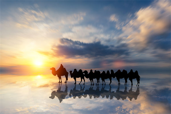 戰(zhàn)略與文化脫節(jié)，企業(yè)理念如何落地支撐發(fā)展？