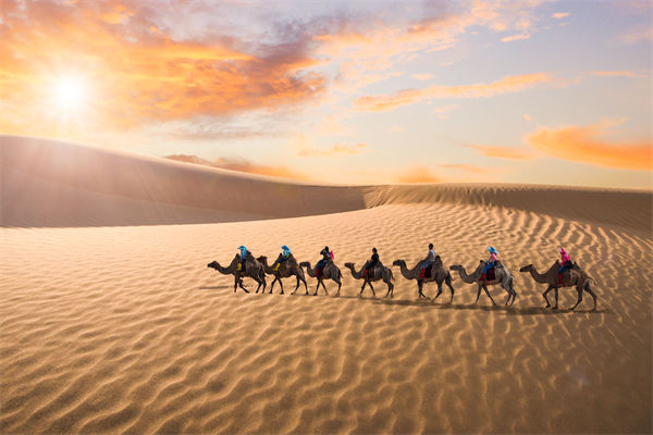 企業(yè)文化管理失效？這三大認(rèn)知誤區(qū)為何拖垮團隊？