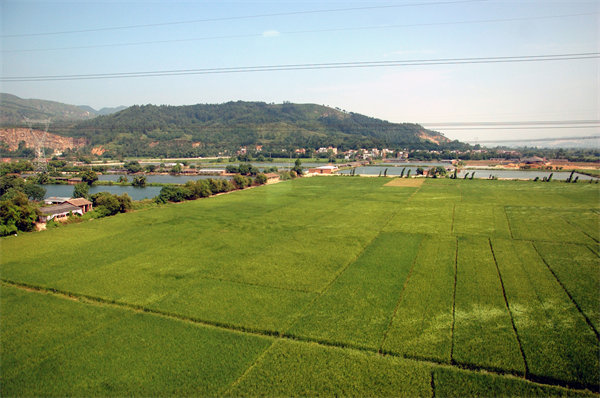 清遠(yuǎn)人力資源咨詢公司量體裁衣，如何激活企業(yè)人才發(fā)展新動(dòng)能？