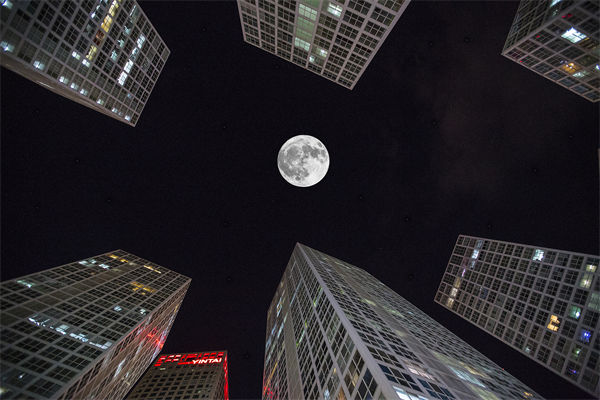 如何通過品牌故事講述，增強(qiáng)品牌情感連接與忠誠(chéng)度？