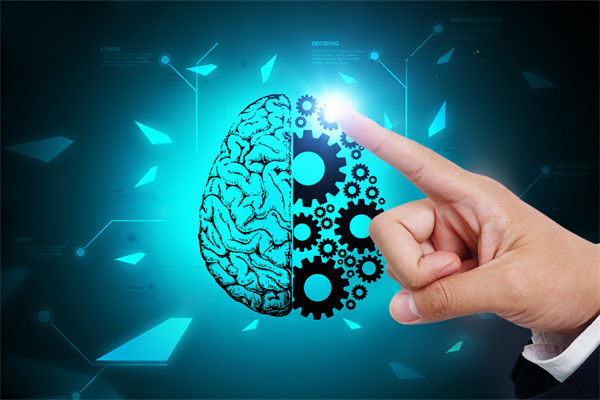 人力資源管理流程規(guī)范嚴(yán)謹(jǐn)，員工創(chuàng)造力為何反而受抑制？