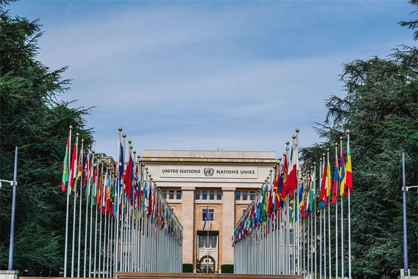 英法等25國發(fā)表聯(lián)合聲明，企業(yè)組織規(guī)劃有何啟示？