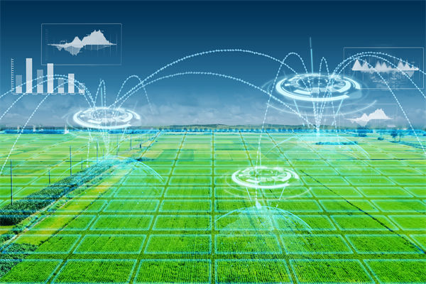 溫州種出2.1米高巨型水稻，精益生產(chǎn)怎么看？