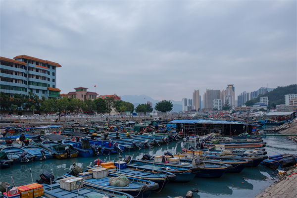 精益生產(chǎn)分析：開海第一網(wǎng)撈8000斤，船長合不攏嘴