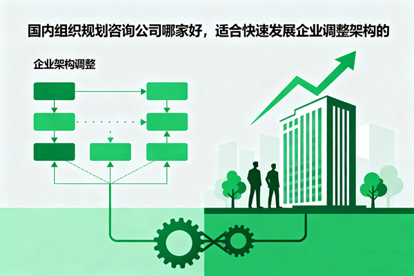 國(guó)內(nèi)組織規(guī)劃咨詢公司哪家好，適合快速發(fā)展企業(yè)調(diào)整架構(gòu)的
